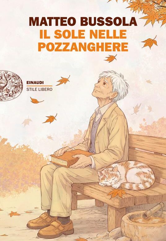 IL SOLE NELLE POZZANGHERE