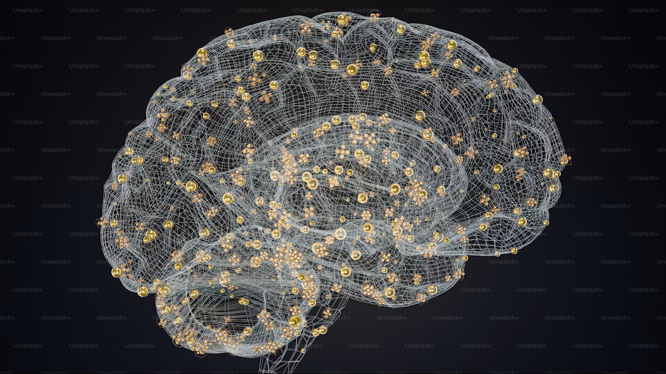 LA MEMORIA DELLA NASCITA CHE COSTRUISCE IL CERVELLO