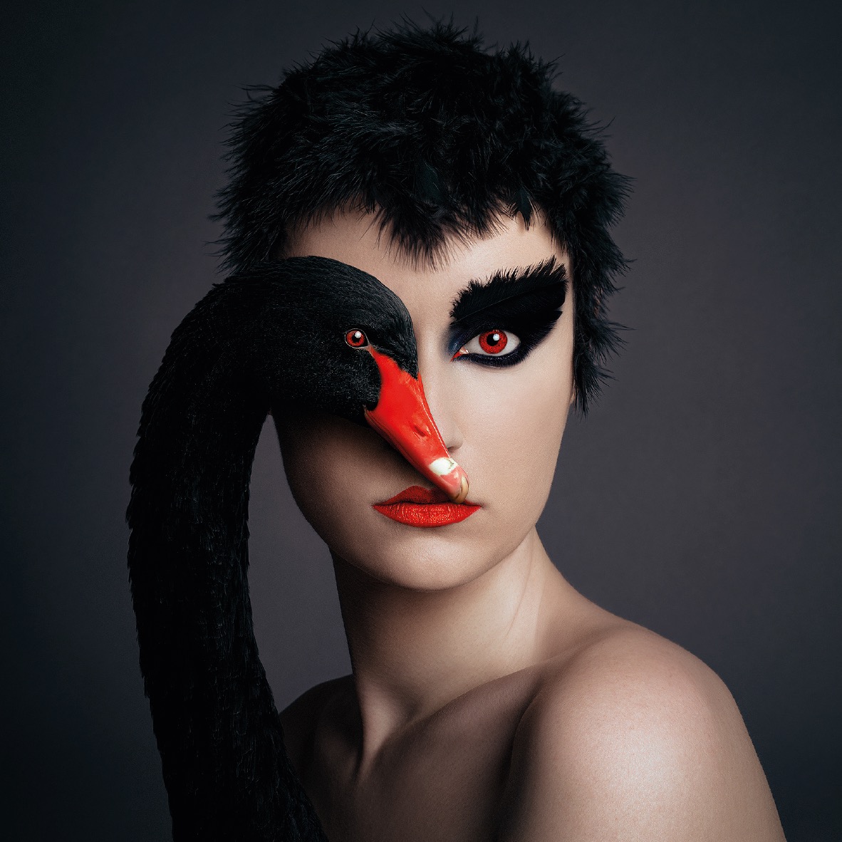 FLORA BORSI. ANIMEYED